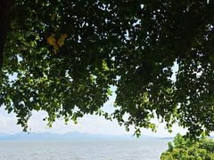 -深圳湾公园(南山区)