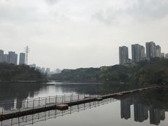 -重庆彩云湖湿地公园