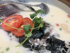 -全乐鱼馆·淳牌有机鱼直营店