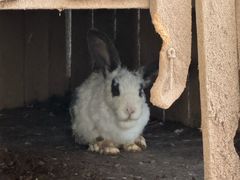 -杭州香格里拉·香宫中餐厅