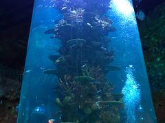 -琴岛之星摩天轮