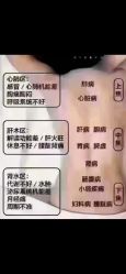 -香薇妮丝·定制减肥·身材管理