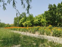 -绿堤公园
