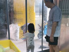 -老袁家蜜桃农场·阳山水蜜桃