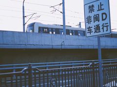 -海堤纪念公园