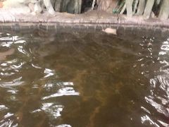 -龙达温泉生态城