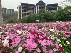 -清远熹乐谷温泉度假酒店