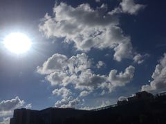 -江湾体育中心游泳馆