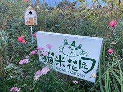 -猫米花园