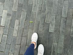 -鸣鹤古镇