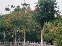 -鸿山公园