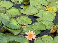 -白鹭湾湿地公园