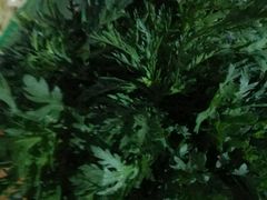 -霞姐屯昌枫木香草鸭店(海螺店)