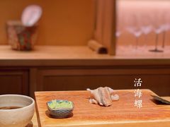 海螺-橼舍鮨青木