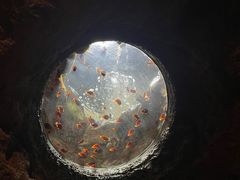 -珠海长隆海洋王国