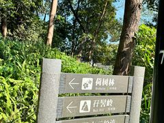 -广州市白云山风景名胜区