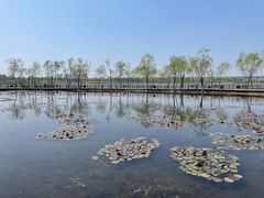 -绿堤公园