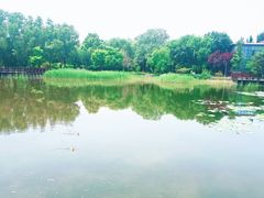 -望湖公园