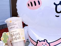 -猫的魔法密林(衣裳街店)
