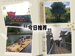 -东湖落雁景区