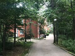 -洛阳白云山景区