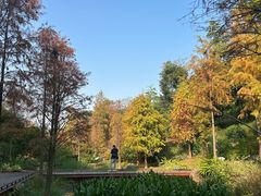 -云溪植物园