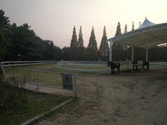 -太阳岛度假酒店