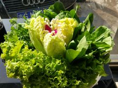 -朝天门火锅(围场店)