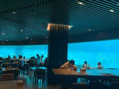 大堂-海棠湾洲际-涛·海底餐厅·美人鱼·自助餐·海底隧道