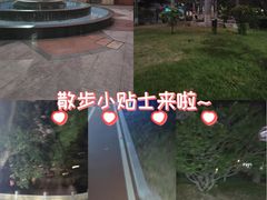 -星海公园(番禺区)