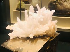 -安徽省地质博物馆