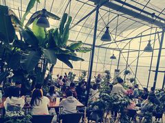 -MUSEO COFFEE咖啡博物馆