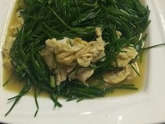 -范记靖远羊羔肉(博物馆店)