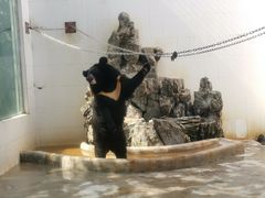 -广东茂名森林公园