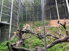 -宁波野生动物园
