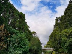 -上海长兴岛郊野公园