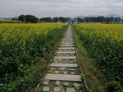-光明小镇欢乐田园