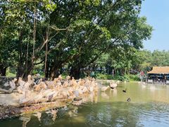 -广州长隆飞鸟乐园