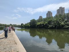-前关湿地公园