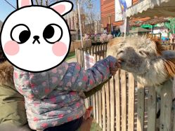 点击看大图 -萌宠亲子动物乐园(槐房万达店)