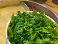 -四喜小胖·北京涮肉(五道营店)