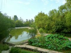 -龙裕山庄烤全羊