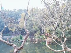 -广州动物园