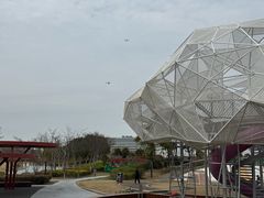 -春花秋色城市公园