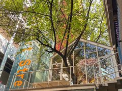 -春树下·树屋花房西餐厅(罍街AS1980店)