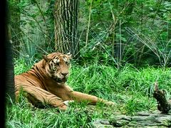 -北京野生动物园