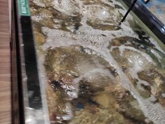 -7fresh七鲜(大族广场店)