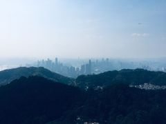 -大金鹰园