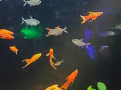 -无锡海洋馆