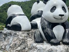 -卧龙中华大熊猫苑神树坪基地